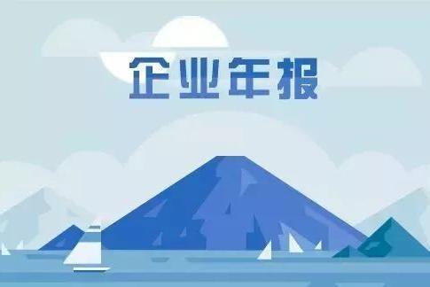 企业年报.jpg