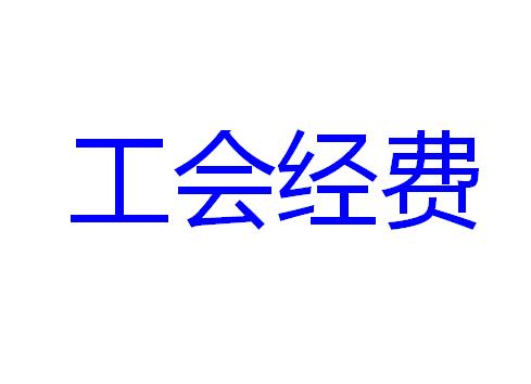 会计做账软件：工会经费