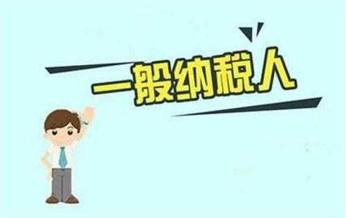 好会计软件：一般纳税人