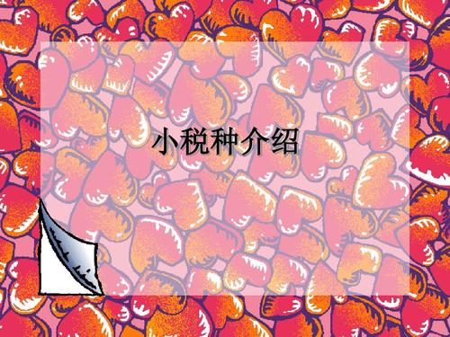 好会计：小税种