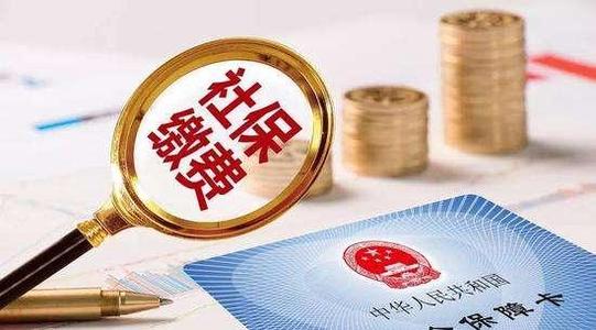 外围买球app官网入口
:社保费补缴